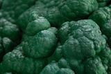 Stunning, Botryoidal Malachite with Chrysocolla - DR Congo #318830-2
